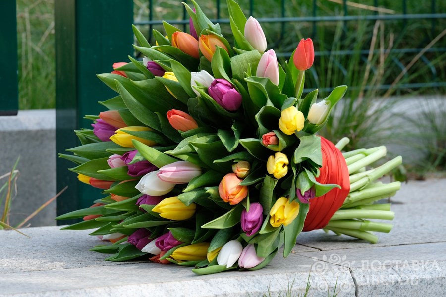 Купить букет тюльпанов в москве недорого сухоцветы в букетах